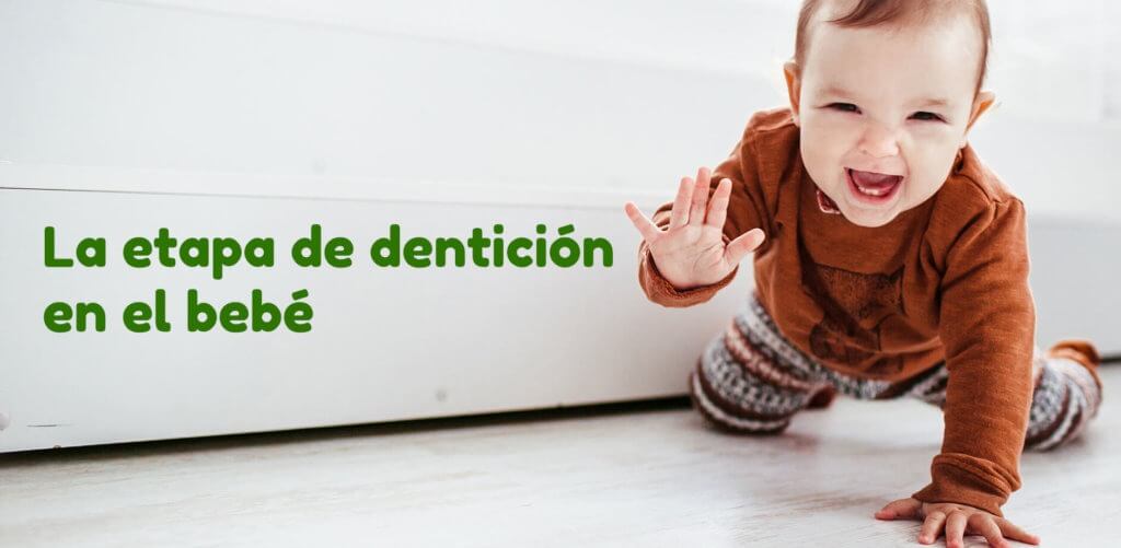 La Etapa De Dentición En El Bebé – MomMom